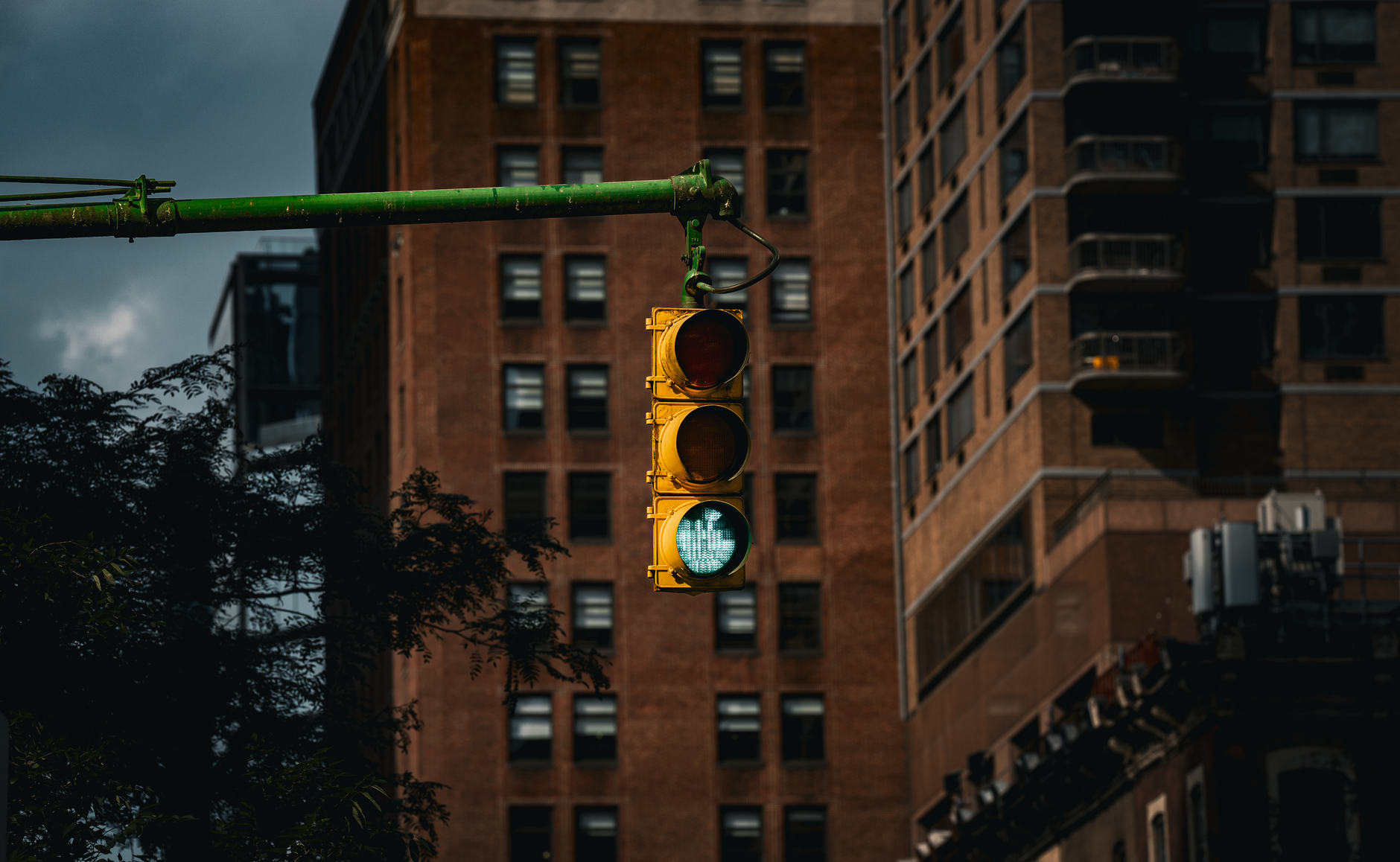pexels photo 35912156