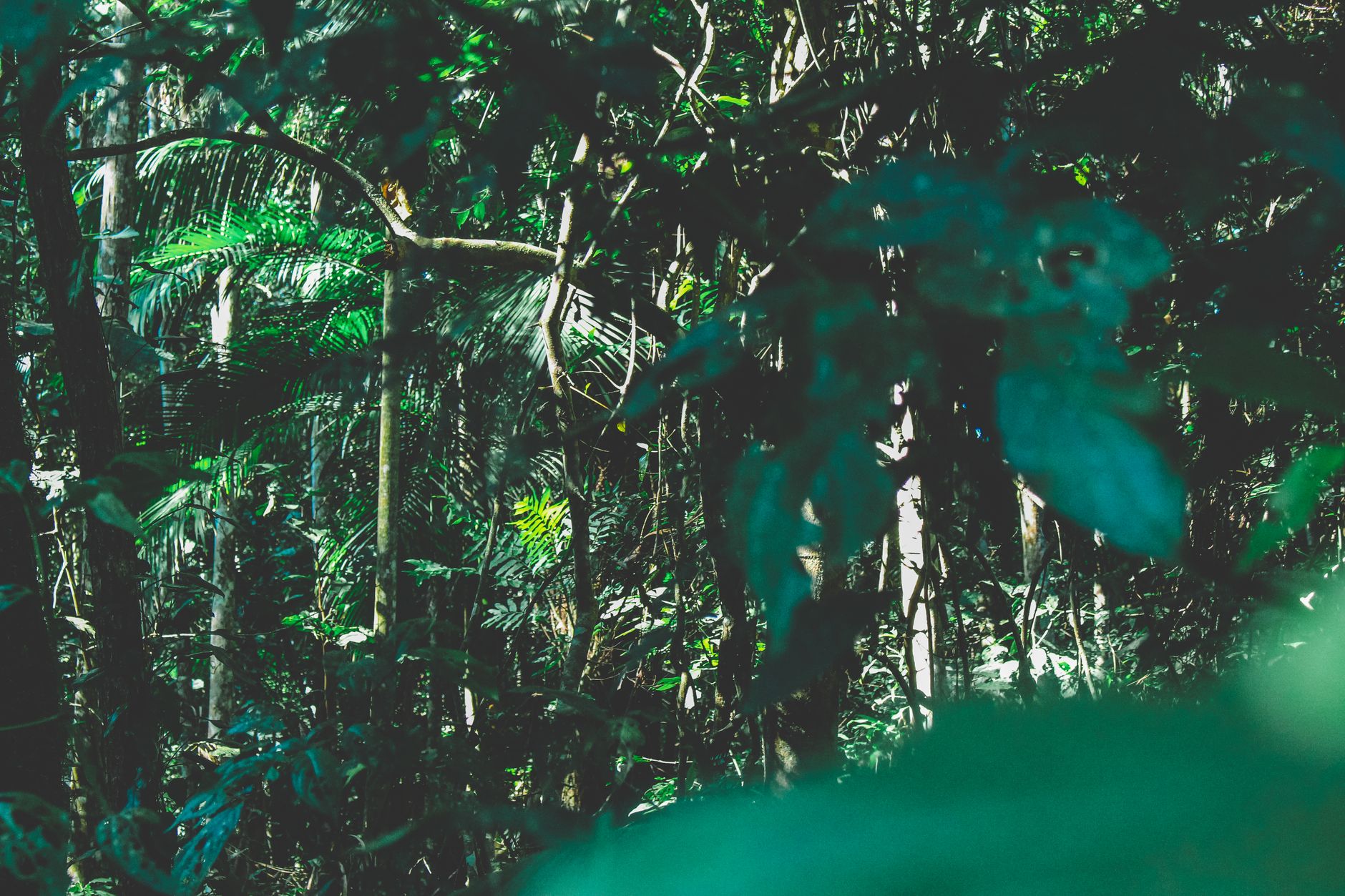 pexels photo 1225236