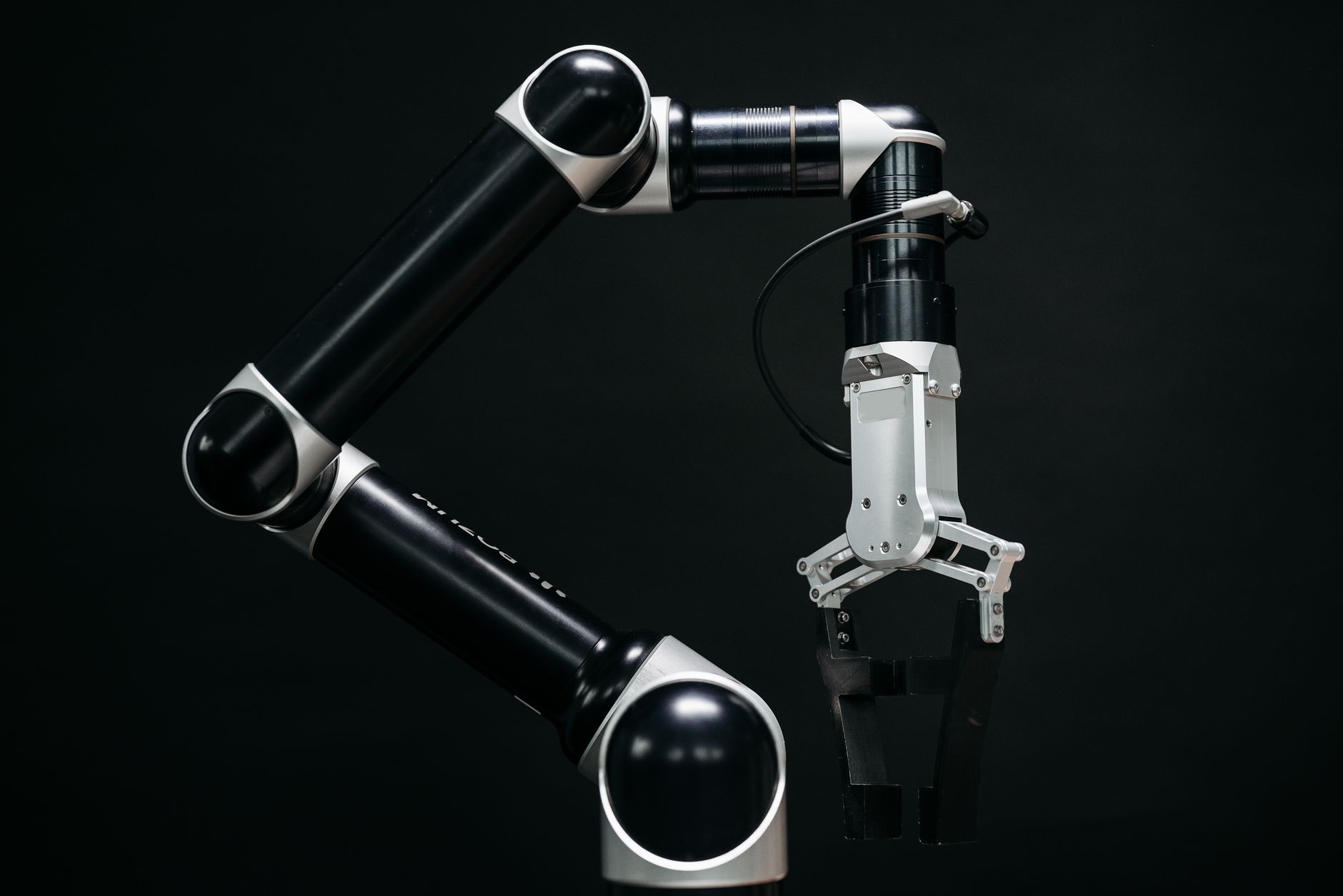 Shivon Zilis: A Mente Visionária Por Trás da Neuralink e a Engenheira do Futuro da Conexão Humana 1 pexels photo 8438865
